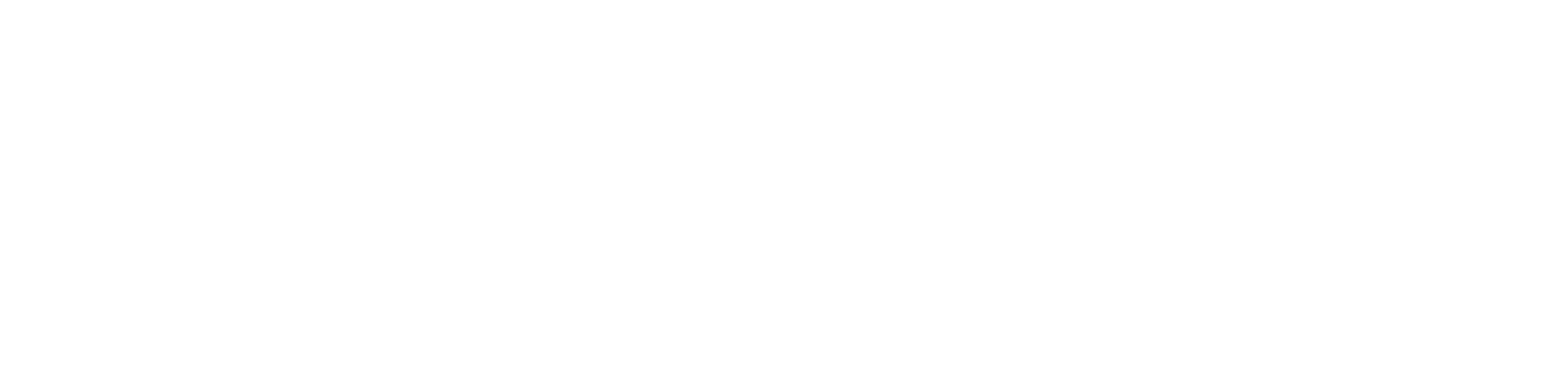 Swedish National Space Agency logo